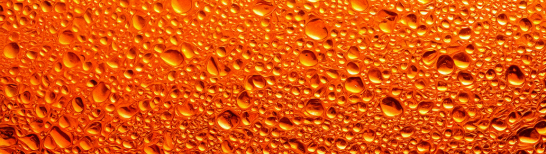 Diacetyl Boldine